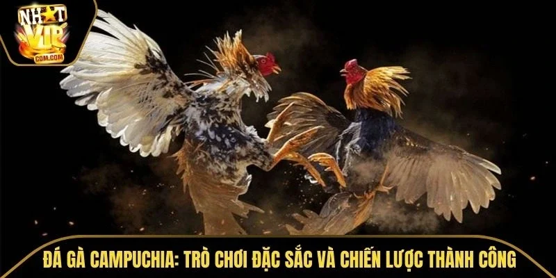 Đá Gà Campuchia
